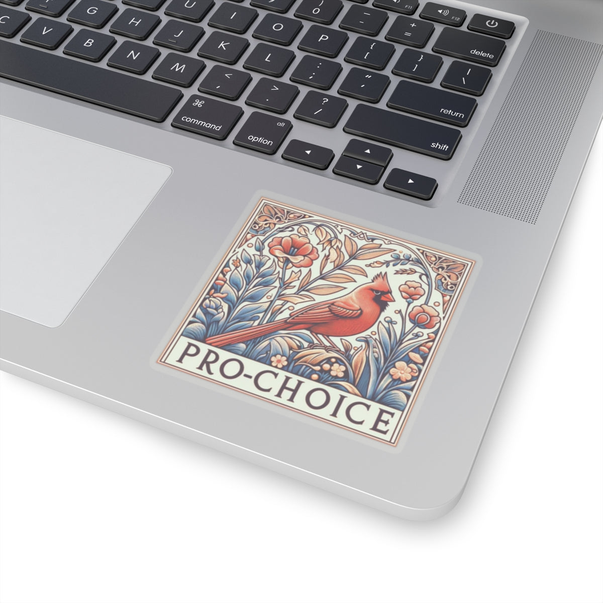 Bold Statement vinyl Sticker/Decal: Pro Choice! for laptop, kindle, phone, ipad, instrument case, notebook, mood board, or wall