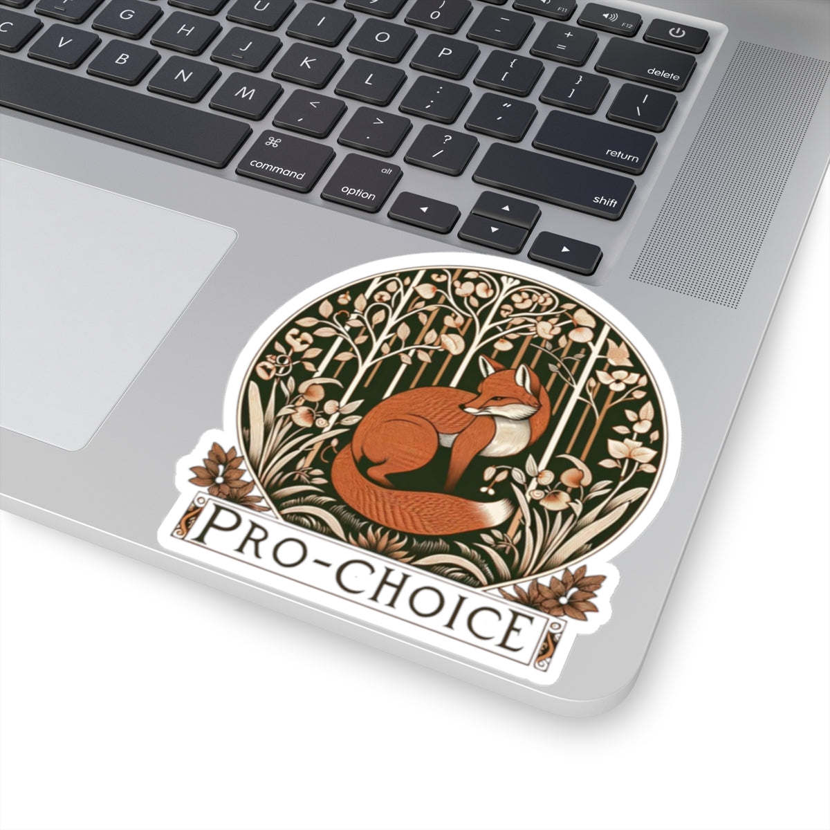 Bold Statement vinyl Sticker/Decal: Pro Choice! for laptop, kindle, phone, ipad, instrument case, notebook, mood board, or wall