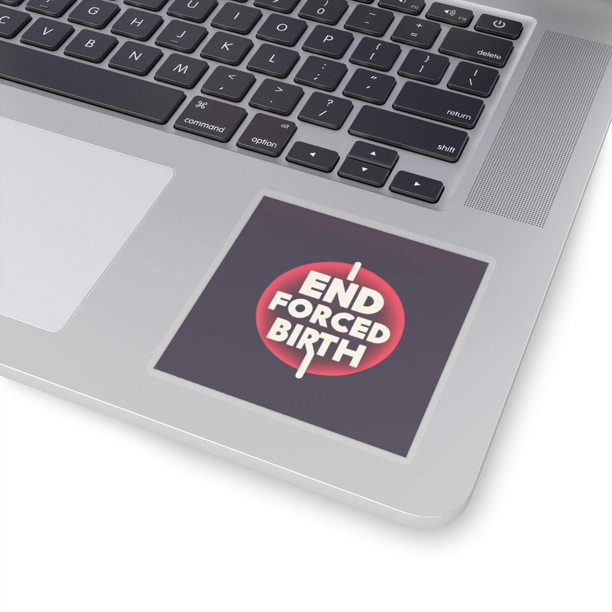 End Forced Birth v2 Stickers