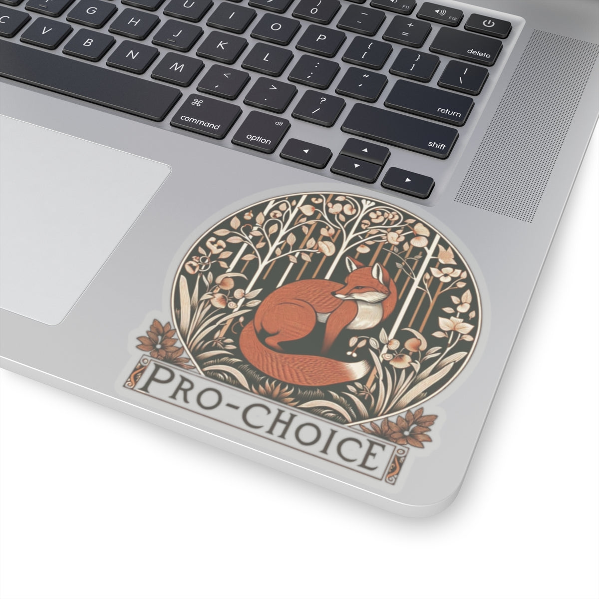 Bold Statement vinyl Sticker/Decal: Pro Choice! for laptop, kindle, phone, ipad, instrument case, notebook, mood board, or wall