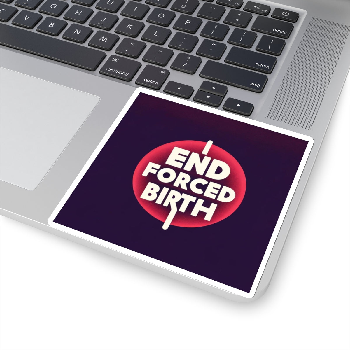 End Forced Birth v2 Stickers