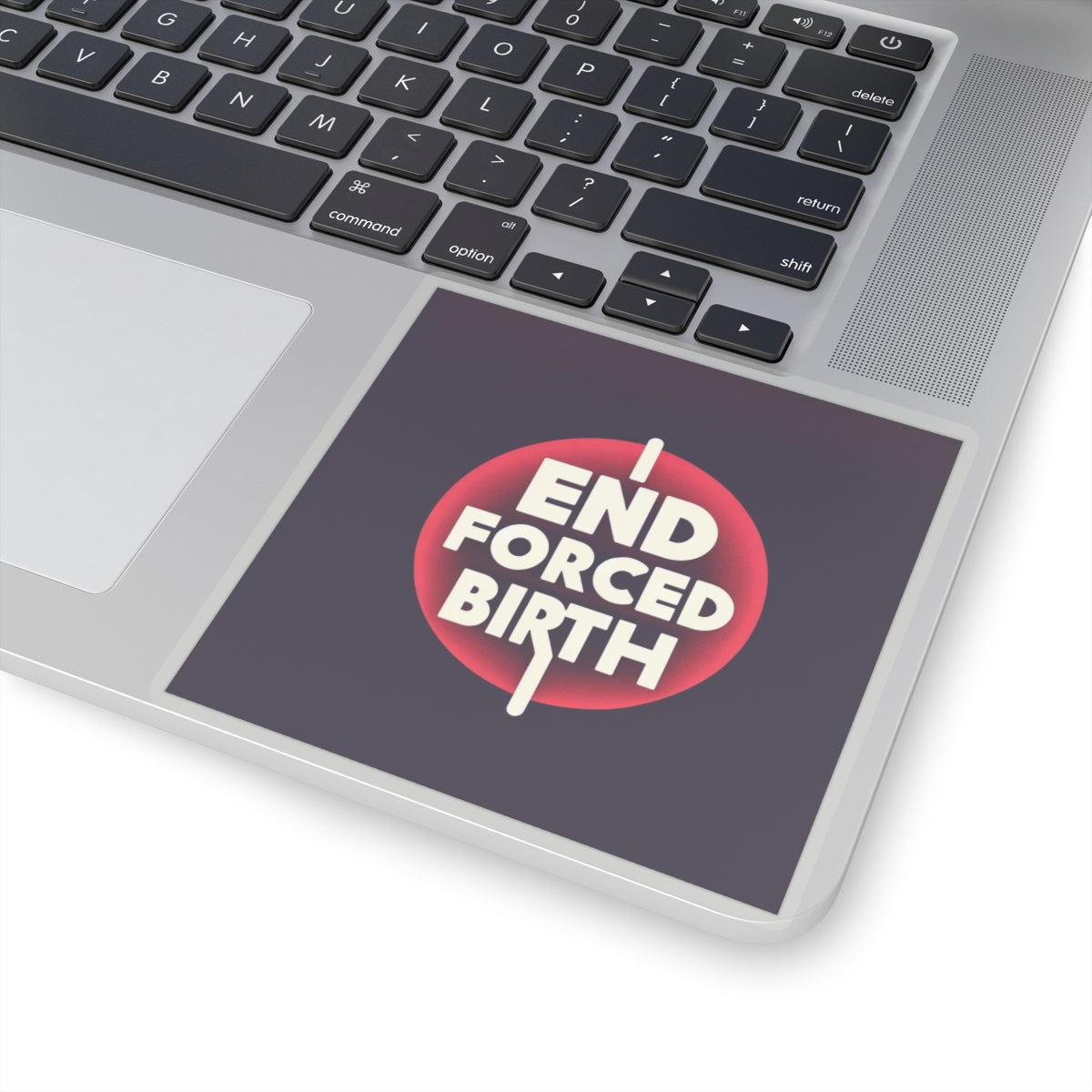 End Forced Birth v2 Stickers