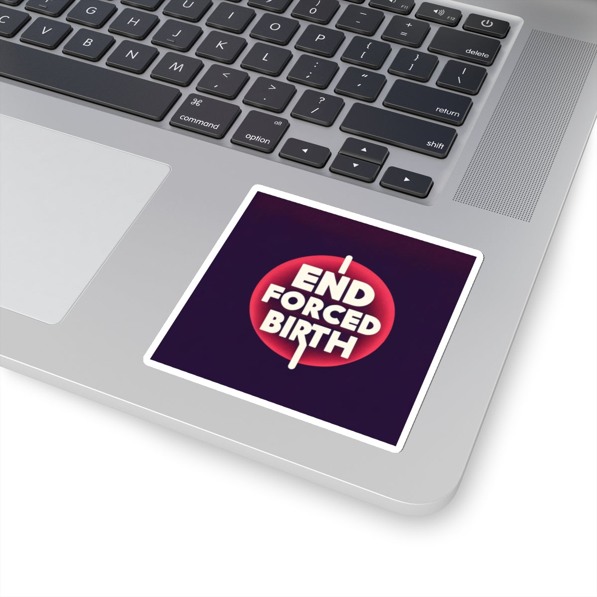 End Forced Birth v2 Stickers