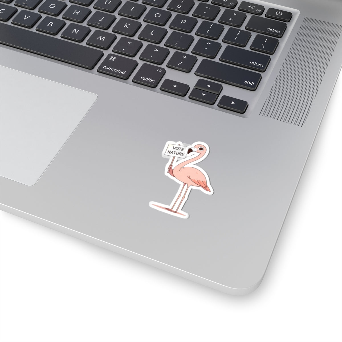 Inspirational Cute Flamingo Statement vinyl Sticker: Vote Nature! for laptop, kindle, phone, ipad, instrument case, notebook, mood board